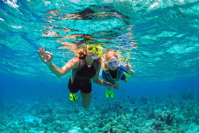 Ultimate Grand Oahu Circle Island Tour with Snorkeling and More - In-Depth Look at the Tour Experience