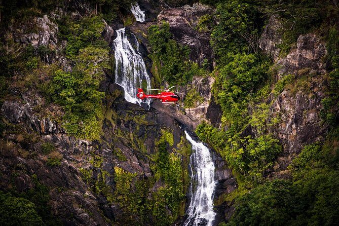 Ultimate Great Barrier Reef and Rainforest 45-minute Helicopter Tour - A Detailed Look at the Tour Experience