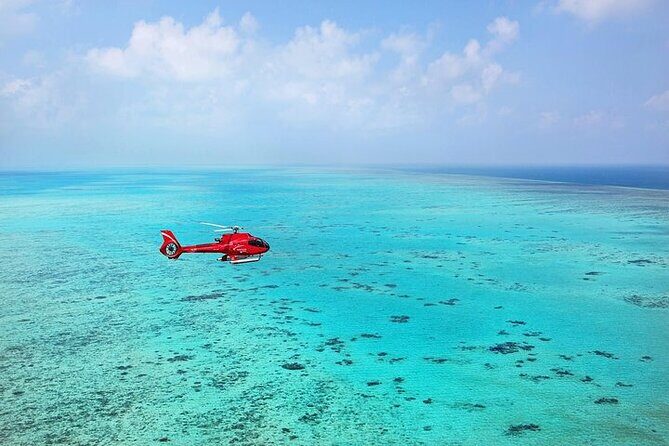 Ultimate Great Barrier Reef and Rainforest 45-minute Helicopter Tour - Who Will Love This Tour?