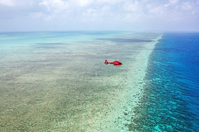 Ultimate Great Barrier Reef and Rainforest 45-minute Helicopter Tour - Final Thoughts