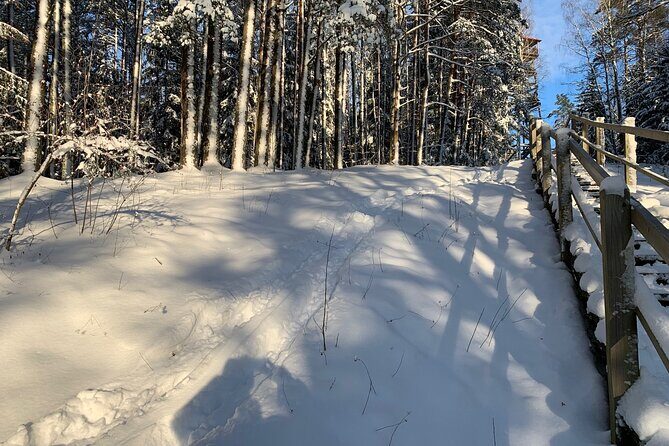 Ultimate Husky dog sledding experience in Latvia - Private tour from Riga - The Sum Up: Who Should Book?