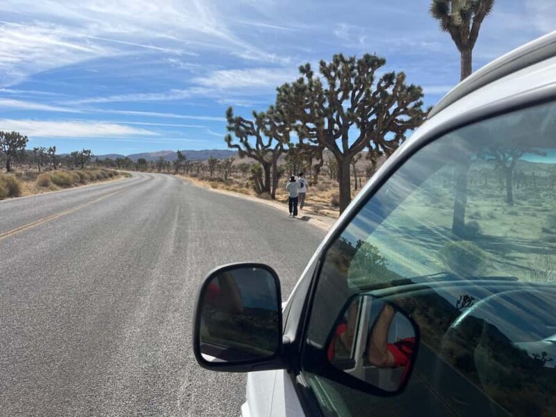 Ultimate Joshua Tree National Park Private Group Adventure - Exploring Joshua Tree: A Detailed Review