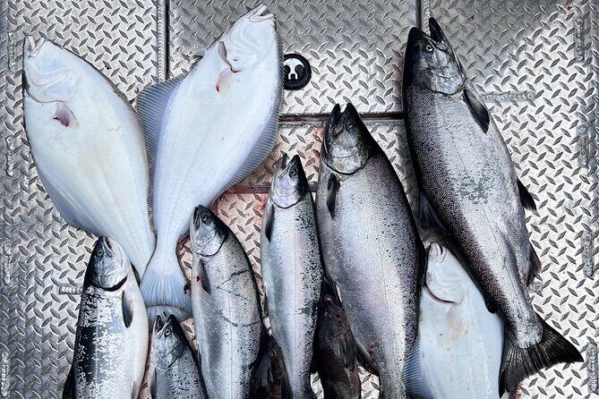 Ultimate Ketchikan Salmon and Halibut Fishing Adventure - Key Points