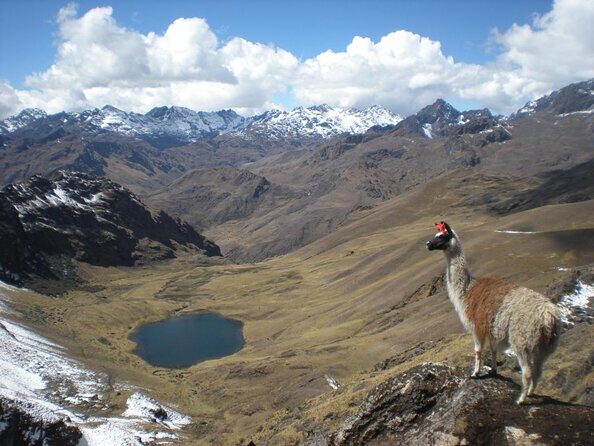 Ultimate Lares Trek & Inca Trail 5 days - A Deep Dive into the 5-Day Experience