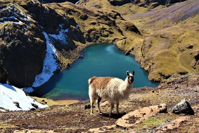 Ultimate Lares Trek & Inca Trail 5 days - FAQ