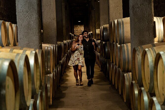 Ultimate Maipú Adventure: Winery Tour & Gourmet Lunch - Why You Should Consider This Tour