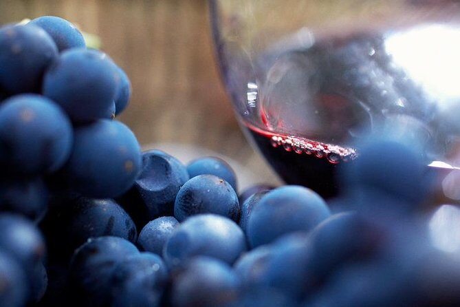 Ultimate Mornington Peninsula Food and Wine Small Group Tour - FAQs