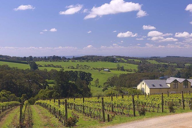 Ultimate Mornington Peninsula Food and Wine Small Group Tour - Final Verdict