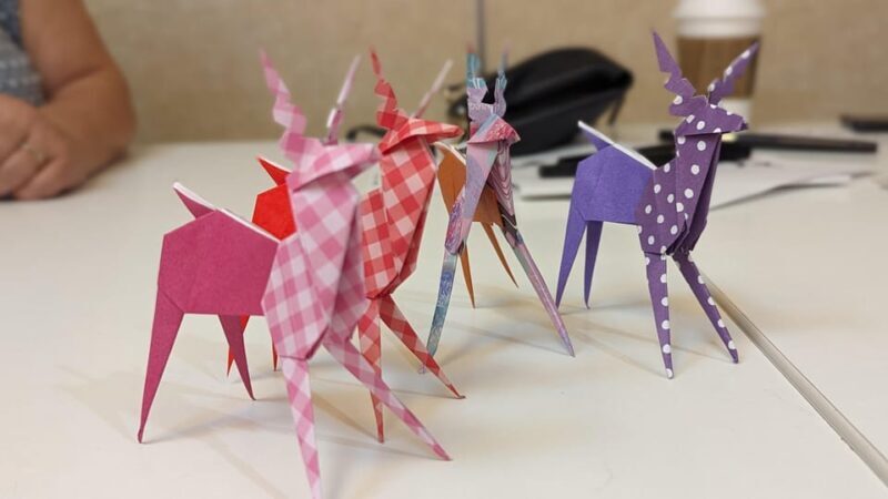 ULTIMATE NARA WALK: Temples, Knives, Crafts & Tea Ceremony - Frequently Asked Questions