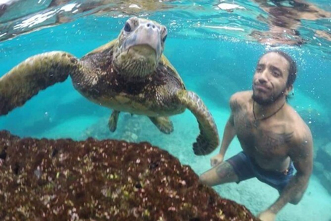 Ultimate Ocean Encounters Midday Snorkel - Exploring the Ultimate Ocean Encounters Midday Snorkel in Detail