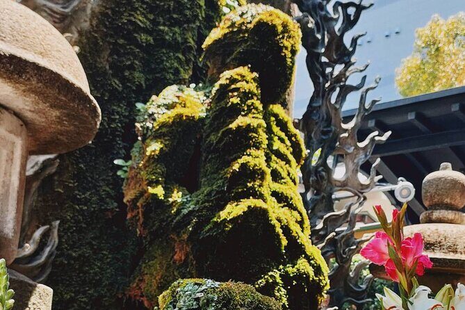 Ultimate Osaka Walking Tour (Castle, Dotonbori) GROUP OR PRIVATE - Who Would Love This Tour?