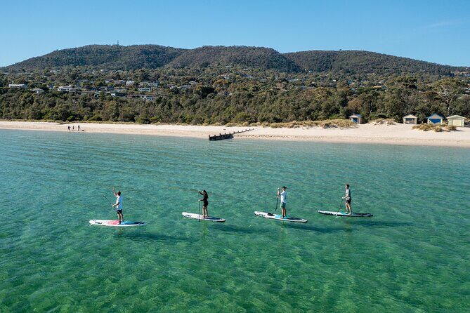 Ultimate Peninsula Adventure: Stand Up Paddle, Hot Springs, Hike, Lunch & Winery - Ultimate Peninsula Adventure: Stand Up Paddle, Hot Springs, Hike, Lunch & Winery