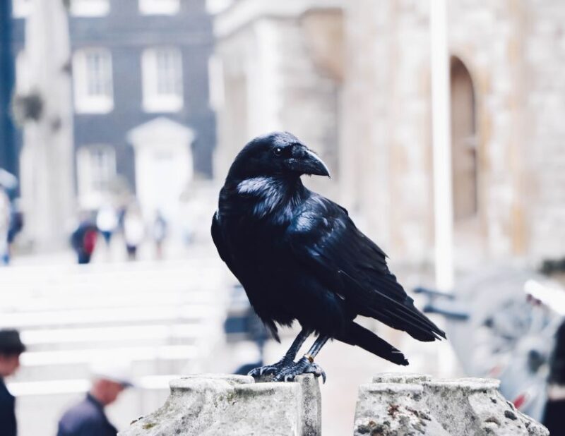 Ultimate Royal London, Thames River Boat Ride & Walking Tour - FAQ
