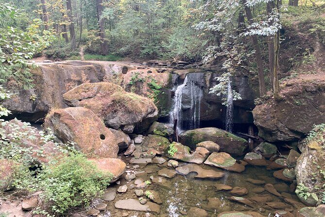 Ultimate Scavenger Bellingham - The Sum Up