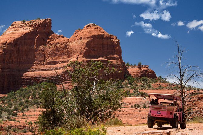 Ultimate Scenic Rim Adventure - FAQs