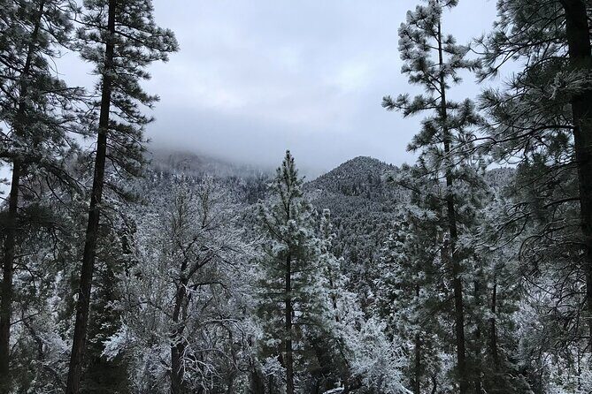 Ultimate Snowplay Adventure at Mount Charleston - FAQs