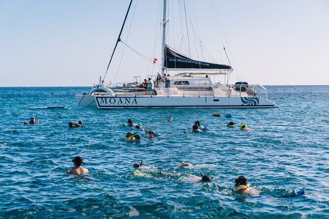 Ultimate Sunset Turtle Snorkeling Ocean Sports with Transport - A Deep Dive into the Experience