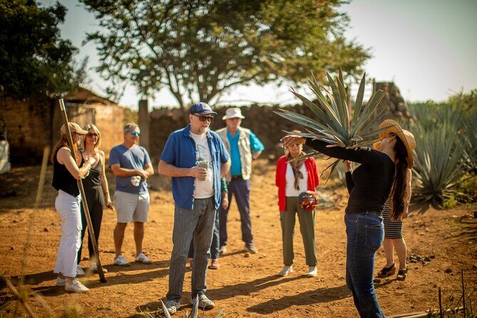 Ultimate tequila 2 day trip from Puerto Vallarta - Key Points