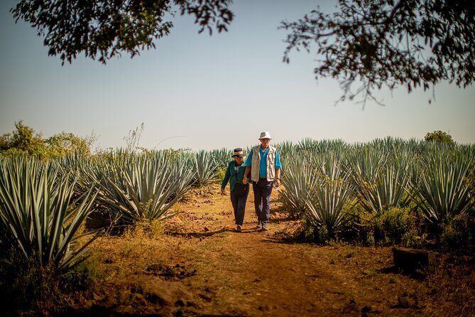 Ultimate tequila 2 day trip from Puerto Vallarta - Exploring the Details: What to Expect from the Ultimate Tequila 2-Day Tour
