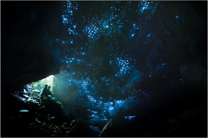Ultimate Waitomo Glowworm Tour  Private, Tailored, After Dark - Experience the Magic of the Ultimate Waitomo Glowworm Tour