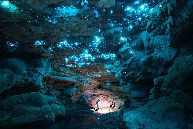 Ultimate Waitomo Glowworm Tour  Private, Tailored, After Dark - Key Points