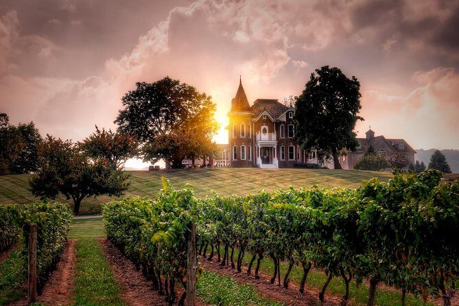 Ultimate Wine Country and Niagara Falls Private Tour with Lunch - Who Would Love This Tour?
