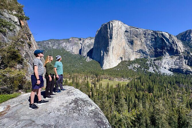 Ultimate Yosemite: Private Tour + Lunch - Experience the Majesty of Yosemite with a Private Tour and Lunch