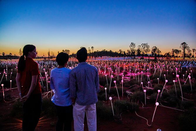 Uluru (Ayers Rock) Field of Light Sunrise Tour - Uluru (Ayers Rock) Field of Light Sunrise Tour