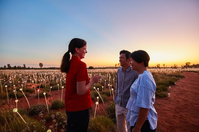 Uluru (Ayers Rock) Field of Light Sunrise Tour - Final Thoughts: Who Should Consider This Tour?