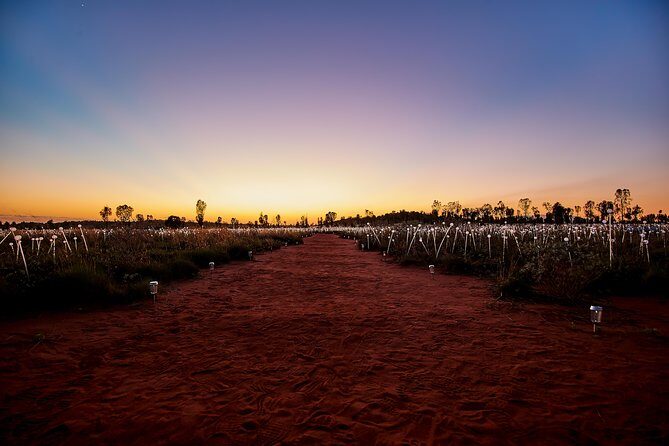 Uluru (Ayers Rock) Field of Light Sunrise Tour - Final Word