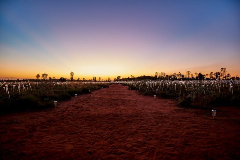Uluru: Field of Light Sunrise Tour with Hot Drinks - Key Points