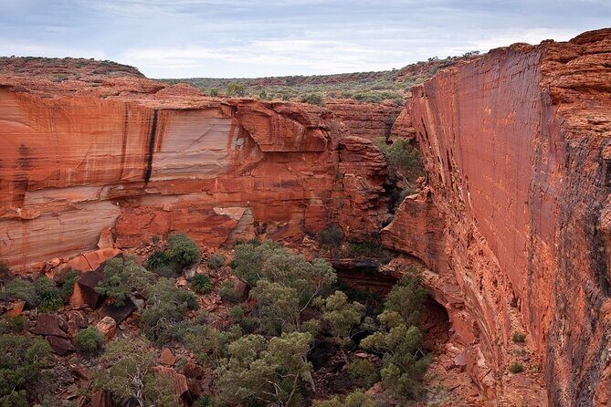 Uluru, Kata Tjuta and Kings Canyon Camping Safari from Ayers Rock - What Travelers Say
