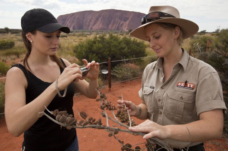 Uluru: Small Group Guided Tour with Sunset Refreshments - The Sum Up