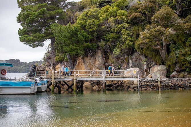 Ulva Island Explorer from Stewart Island - A Closer Look at the Ulva Island Explorer Experience