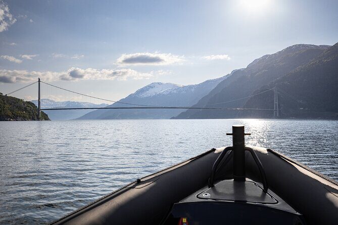 Ulvik Ultimate Hardangerfjord RIB adventure - Final Thoughts: Why Choose This Tour?