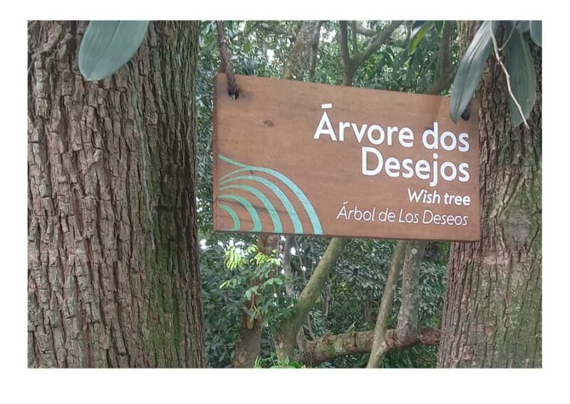 Um Dia no Rio/One Day in Rio - Key Points