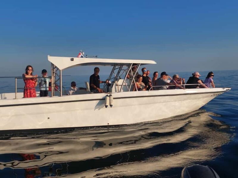 Umag: Dolphinwatching & sunset panorama tour - The Itinerary and Major Highlights