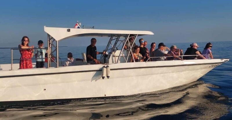 Umag: Dolphinwatching & sunset panorama tour - Viewing Coastal Towns