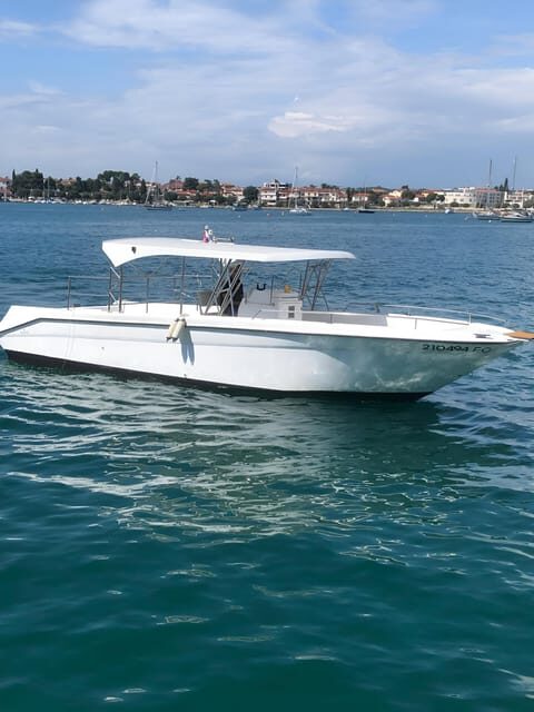 Umag: Dolphinwatching & sunset panorama tour - Who Should Consider This Tour?