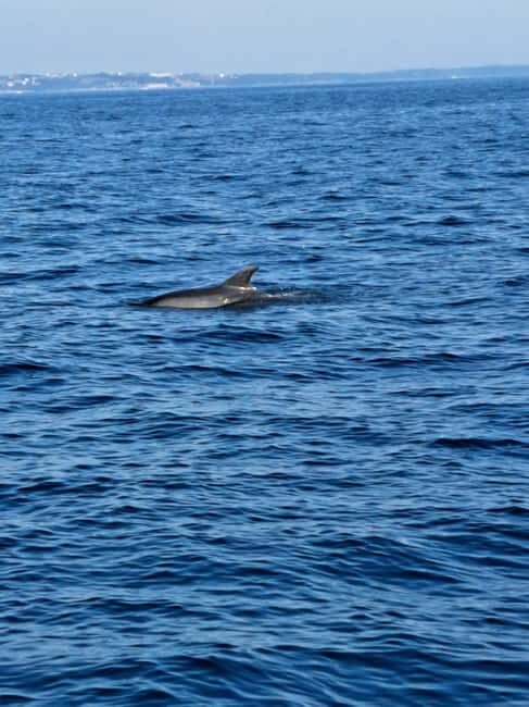 Umag; private boat rental with captain - A Deep Dive into the Experience