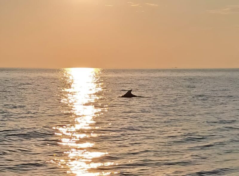 Umag; private boat rental with captain - Final Thoughts