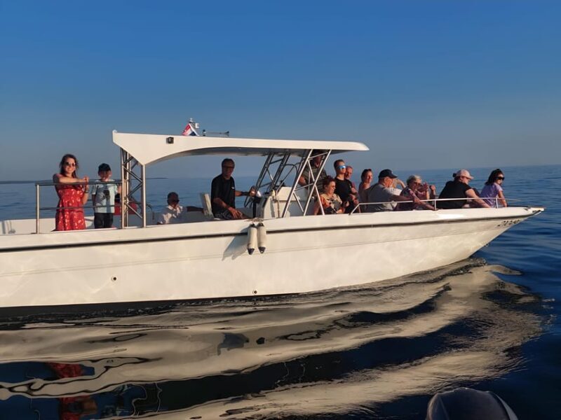 Umag: Snorkeling & dolphinwatching morning boat tour - Practical Details and Value