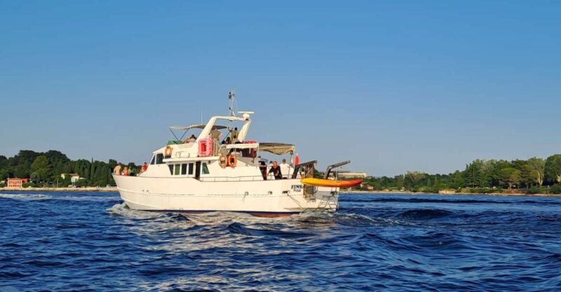 Umag: Sunset Cruise with Dolphin Spotting - An In-Depth Look at the Experience