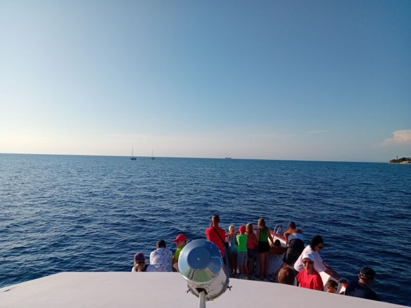 Umag: Sunset Cruise with Dolphin Spotting - The Sum Up