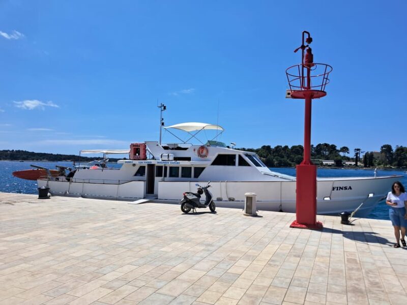 UMAG: Swimming&Panorama / Welcome Drink and Dolphin spotting - Why This Trip is Worth Considering