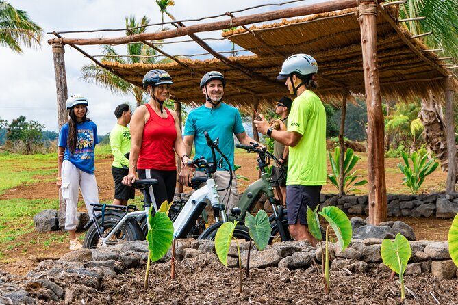 Umauma Falls eBike Tour in Hakalau - Key Points