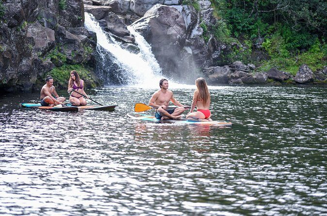 Umauma Falls Private Waterfall And River Swim - Who Is This Tour Best For?