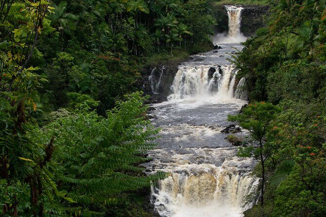 Umauma Triple Tier Waterfall Rappel and River Tour - An In-Depth Look at the Umauma Rappel and River Tour