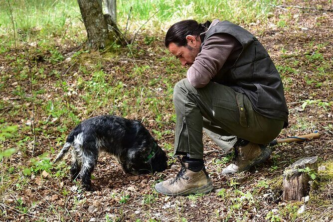 Umbria Truffle Hunting Experience with Brunch - Discovering Umbria’s Truffle World