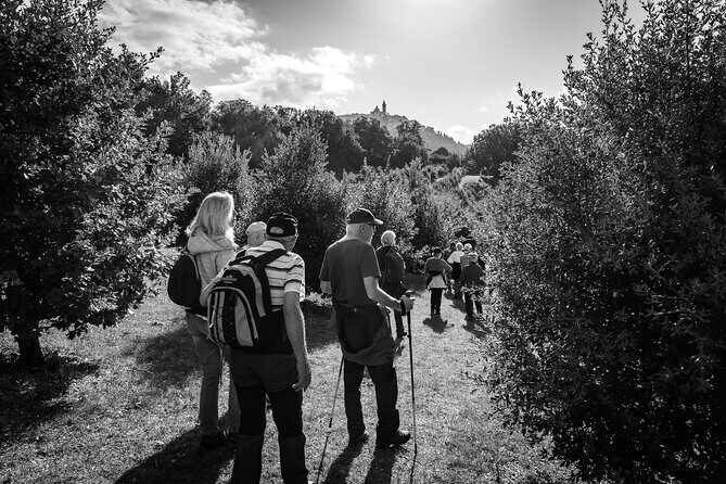 Umbria Truffle Hunting Experience with Brunch - Practical Tips for Your Truffle Hunt